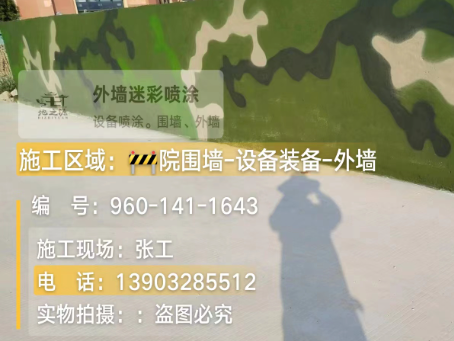 连云港 迷彩漆喷涂价格(按平方米计费)